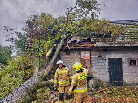 Złamane drzewo upadło na dach