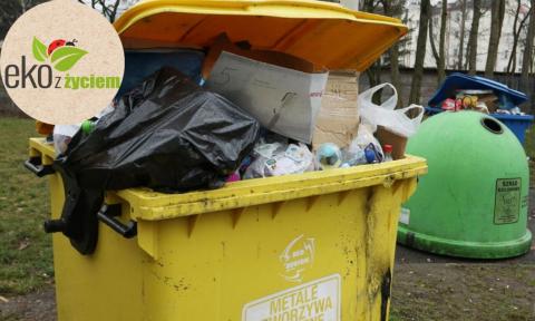 Segregacja śmieci Życie Pabianic