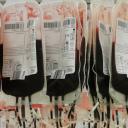 Pabianiczanie oddali ponad siedem litrów krwi dla chorych na COVID-19