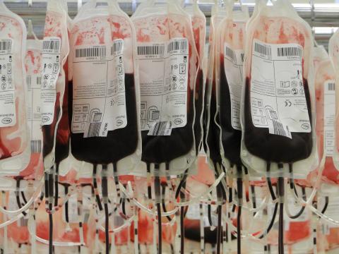 Krwiodawcy "zagrają" dla WOŚP