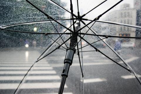 Deszcz Życie Pabianic