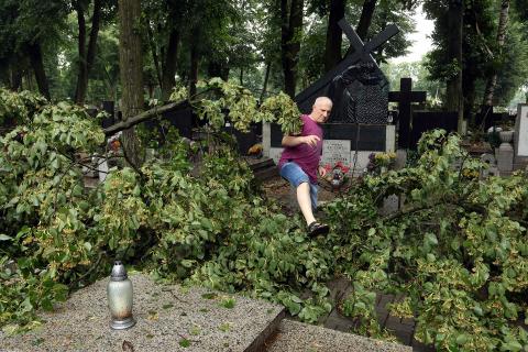 Burza powaliła drzewa na cmentarzu Życie Pabianic