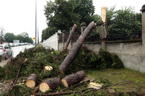 Burza powaliła drzewa na cmentarzu Życie Pabianic