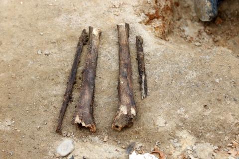 Odkrycia archeologiczne w Pabianicach