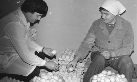 Wielkanoc w Pabianicach w 1984 roku
