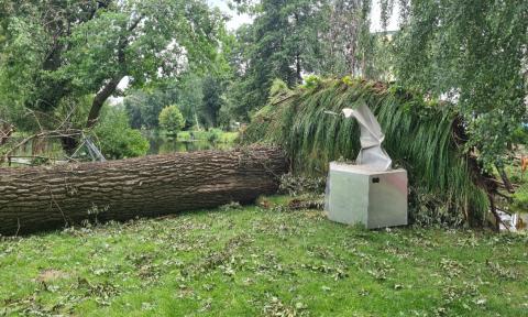 Nawałnica zniszczyła park rzeźby przy u. Roweckiego