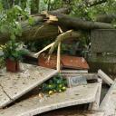 Połamane drzewa nie oszczędziły grobów na cmentarzu