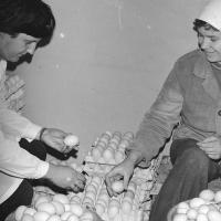 Wielkanoc w Pabianicach w 1984 roku