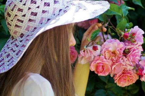 Aflopark zaprasza na Festiwal Róż i otwarcie ogrodu ziołowego Życie Pabianic