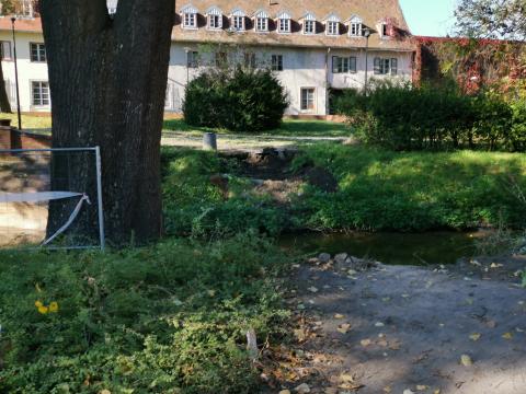 Zdemontowali kładkę w parku Słowackiego Życie Pabianic 