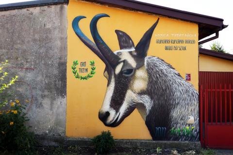12 murali z serii „Eko Tuzin” Kruka na finiszu Życie Pabianic
