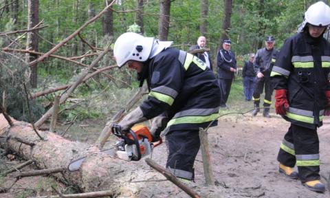 Strażacy usuwają drzewa powalone przez wiatr Życie Pabianic