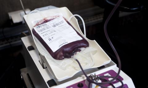 Akcja poboru krwi Życie Pabianic