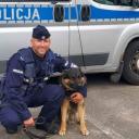 Pies policyjny z Pabianic odnalazł zaginionego nastolatka