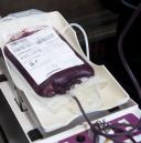 Akcja poboru krwi Życie Pabianic