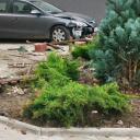 Pijana 39-latka uszkodziła oplem pięć samochodów i skasowała osiedlowy ogródek Życie Pabianic