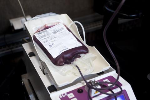 Krwiodawcy oddali 38,7 l krwi na rzecz WOŚP