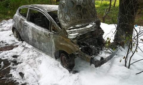 Auto stanęło w płomieniach po uderzeniu w drzewo Życie Pabianic