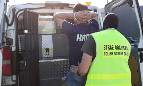 Nielegalni imigranci zatrzymani w Pawlikowicach