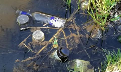 Światowy Dzień Wody: posprzątajmy nad brzegiem Dobrzynki Życie Pabianic